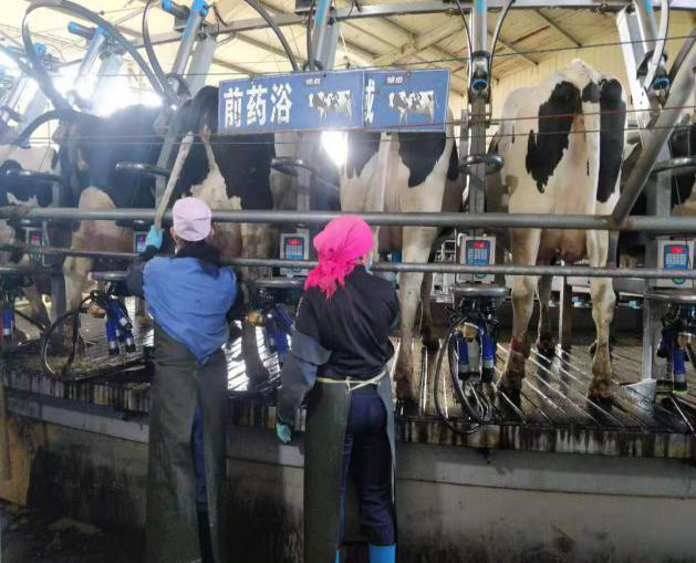 图片8.png 图片8.png