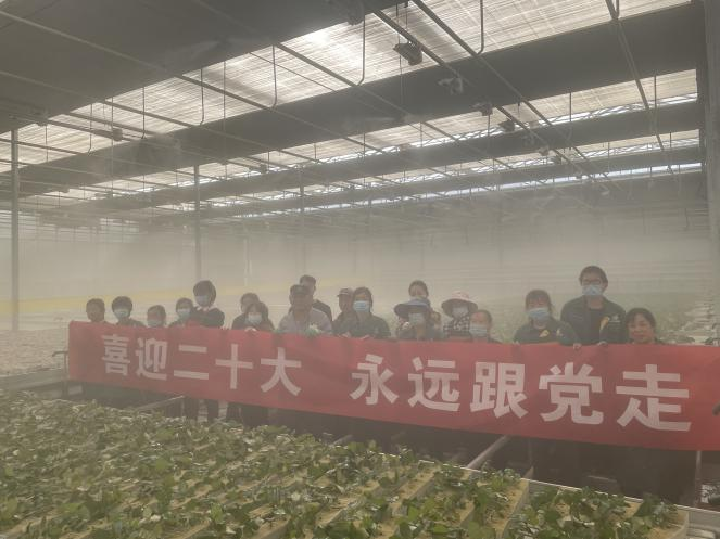 图片8.png